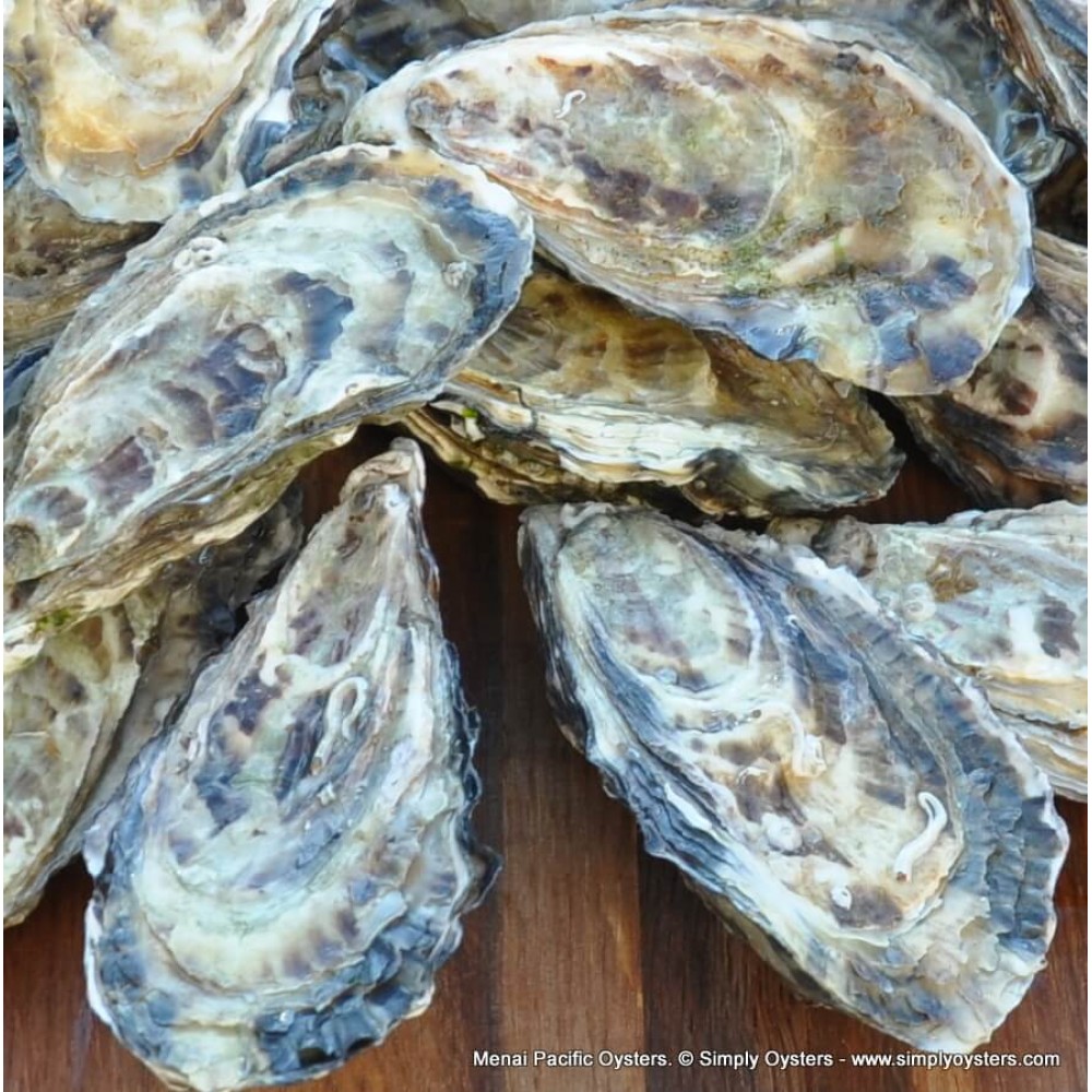 Menai Oysters Buy Online UK Delivery Simply Oysters